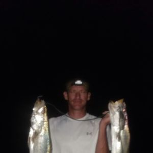 Meet your Posher, Chip